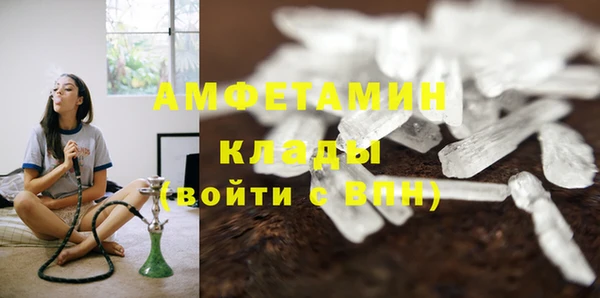 шишки Кинешма