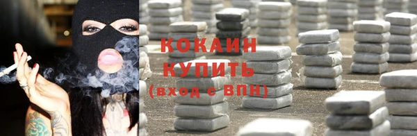 шишки Кинешма