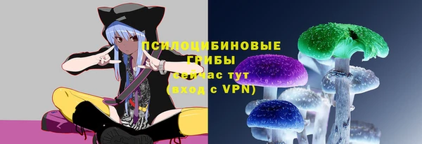 шишки Кинешма