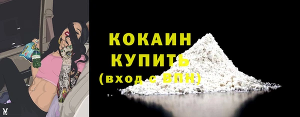шишки Кинешма