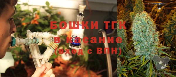 шишки Кинешма